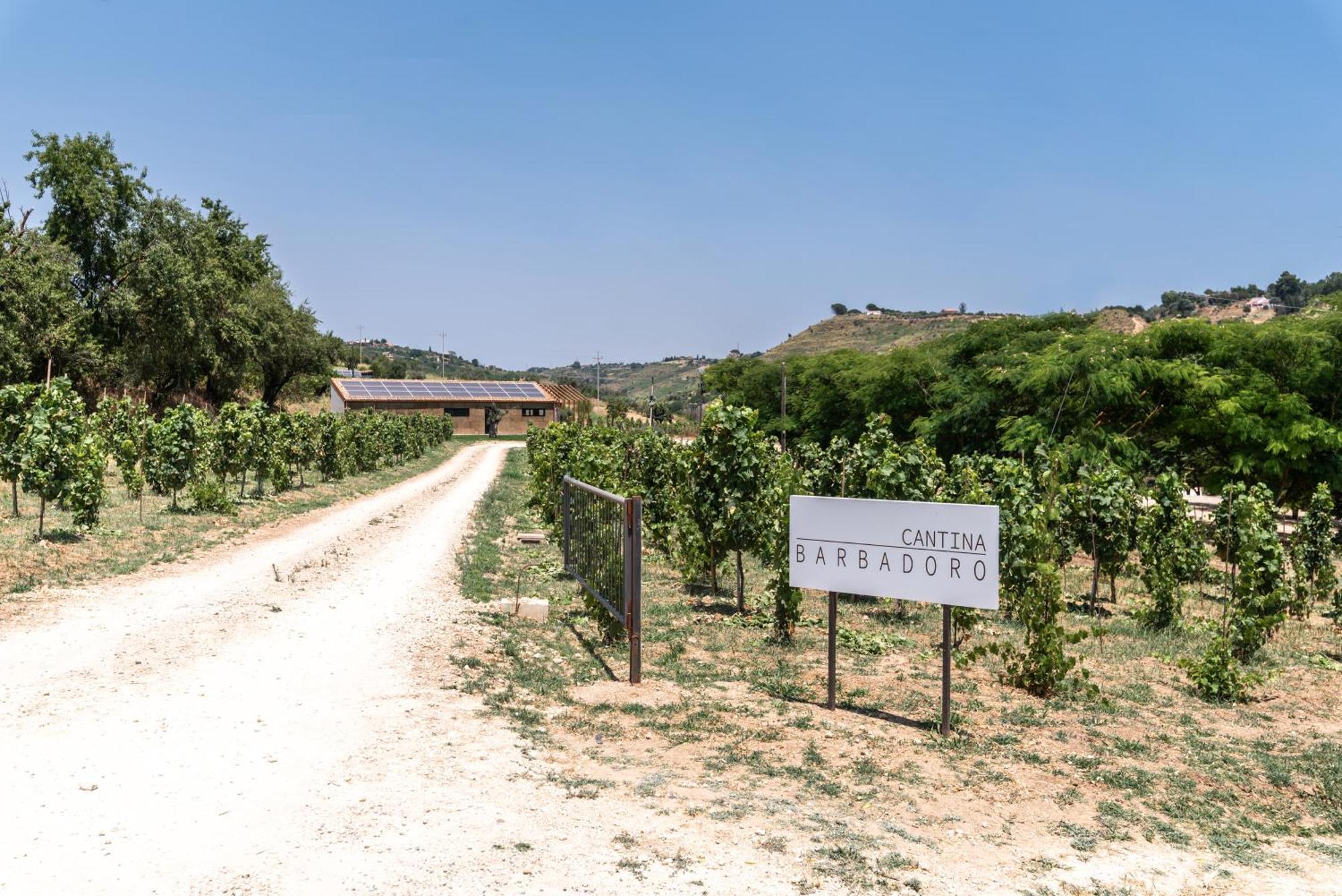 Cottage Immerso Nel Vigneto Caltagirone Eksteriør billede