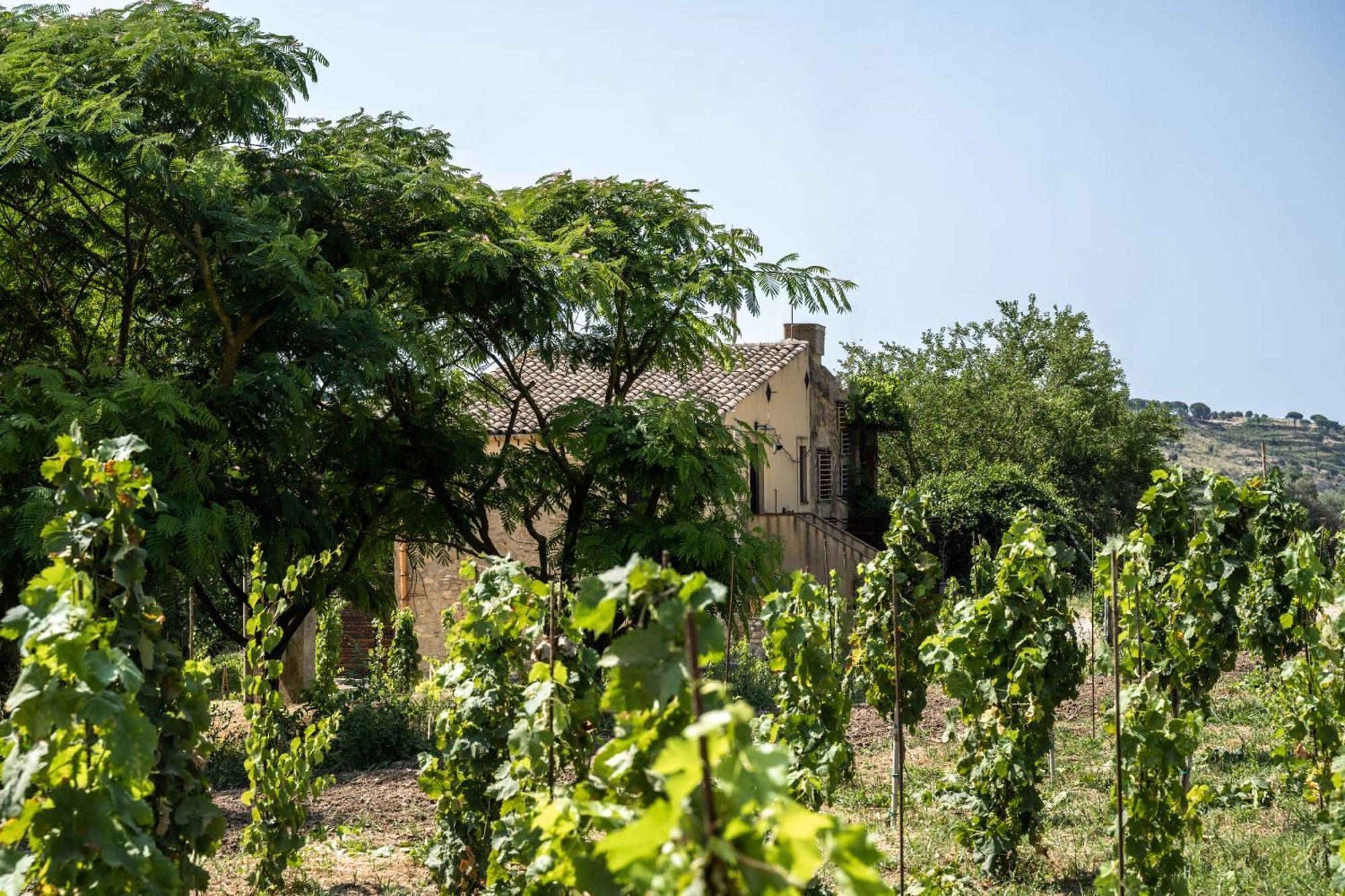 Cottage Immerso Nel Vigneto Caltagirone Eksteriør billede