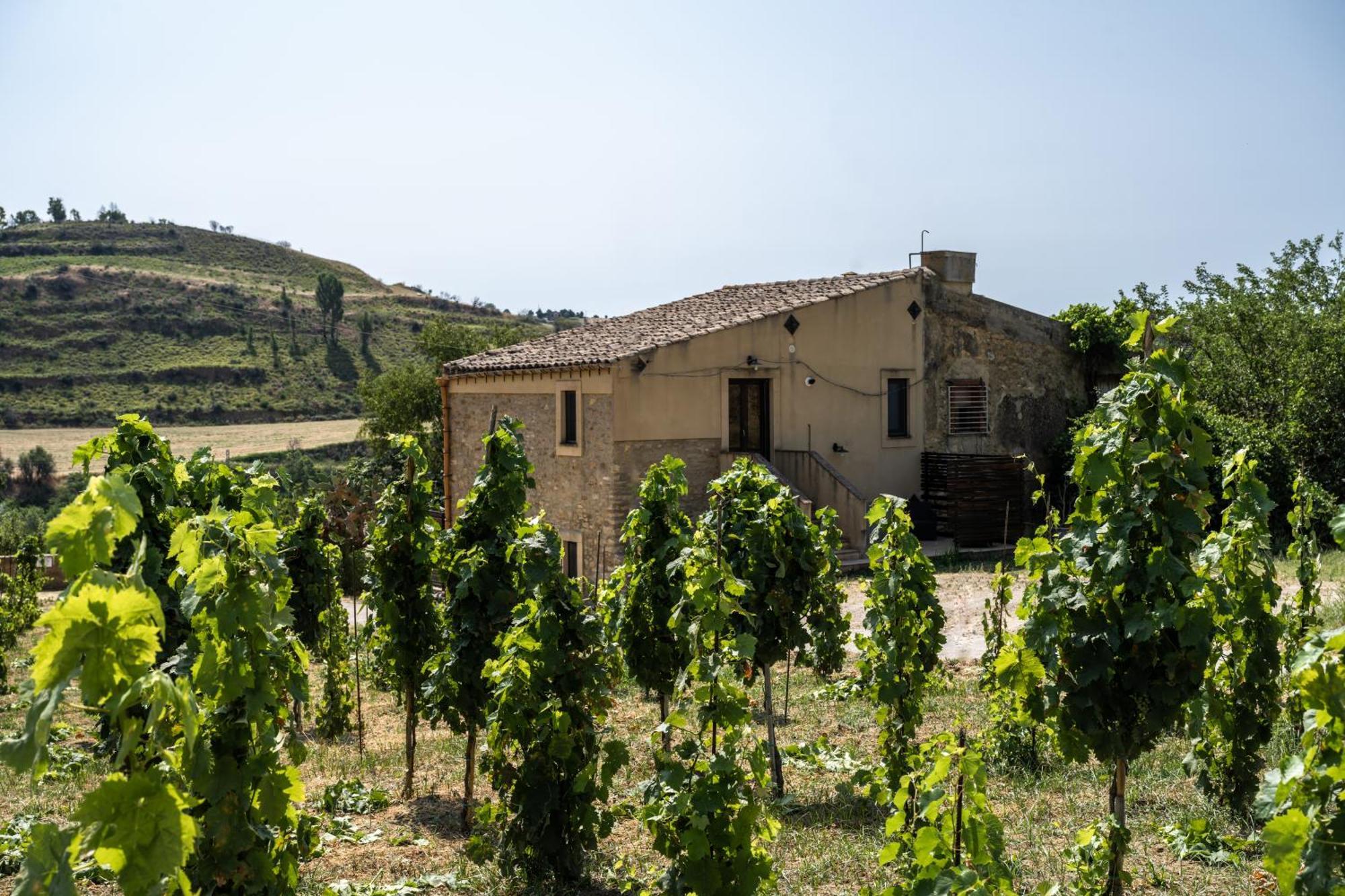 Cottage Immerso Nel Vigneto Caltagirone Eksteriør billede